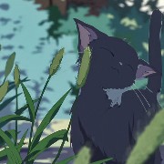 Ghibli 