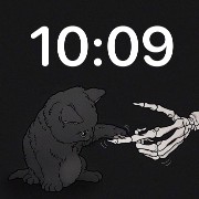 vute cat with skeleton