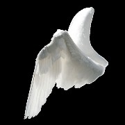 angel wings