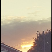 Gold skies