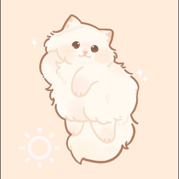 fluffy cat :