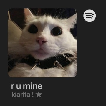 cat spotify widget Copy