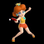 bbg Daisy 