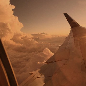 fly