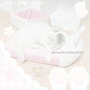 cutecore widget