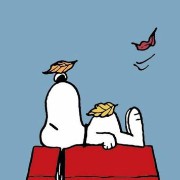 Snoopy Widget