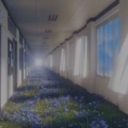 flowers dream