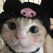 Kuromi kitty