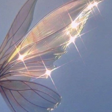 fairy