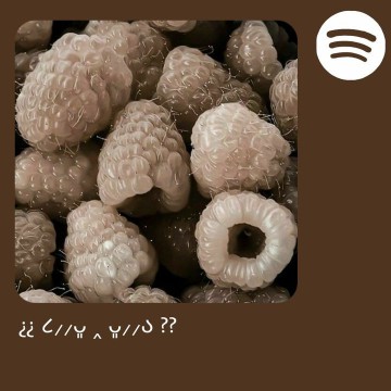 brown spotify widget