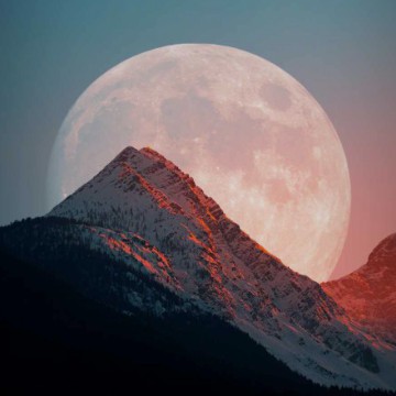 Moon light 