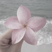 flor