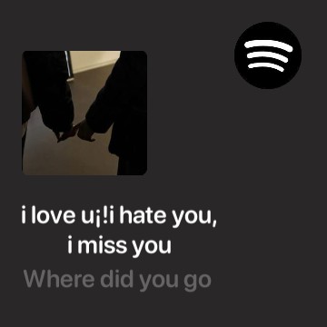 Spotify Widget  Copy