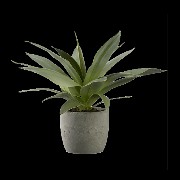 Planta II