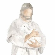 Jesus hug a lamb white