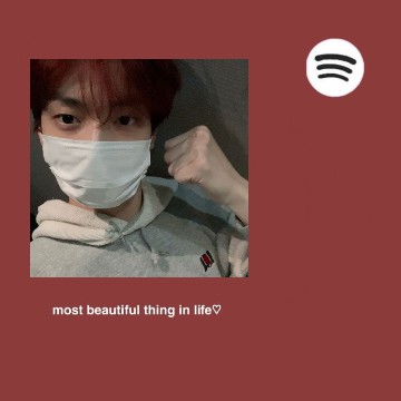 Spotify widget