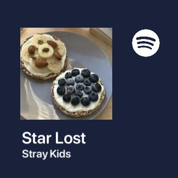Spotify Stray Kids 