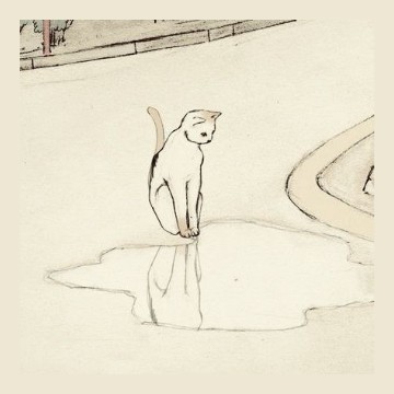 cat