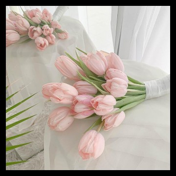 pink tulip 