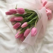 pink flowers