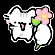 flower giver kitty