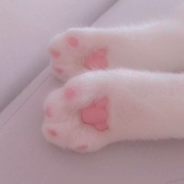 kitty paws