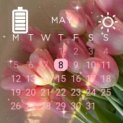 pink tulips