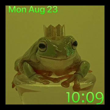 king frog