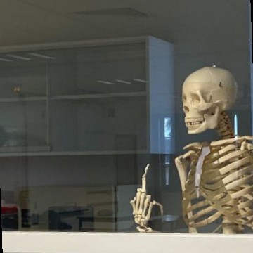  Skeleton 1