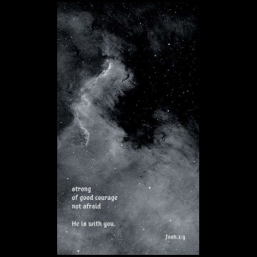 quotes