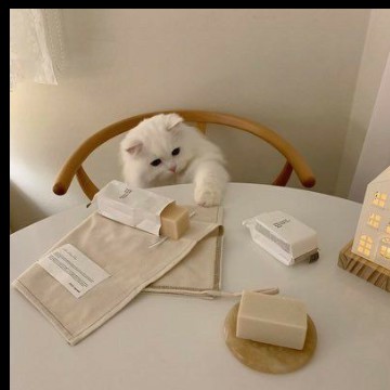 R o s i e cat