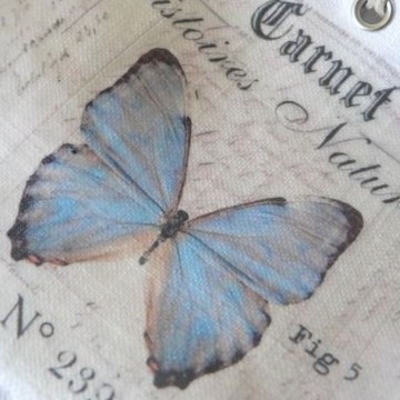 blue butterfly