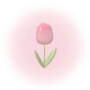 flowwetwt