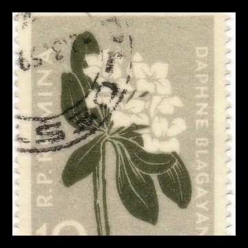 stamp