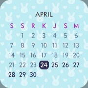 date Copy