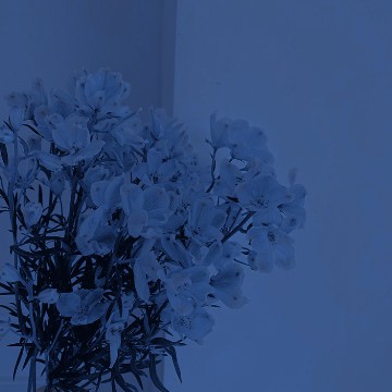 blue