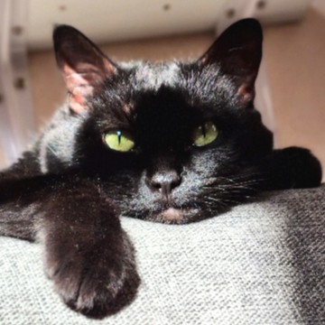 Salem