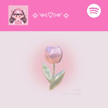 Spotify widget playlist pink