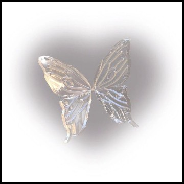 crystal fly