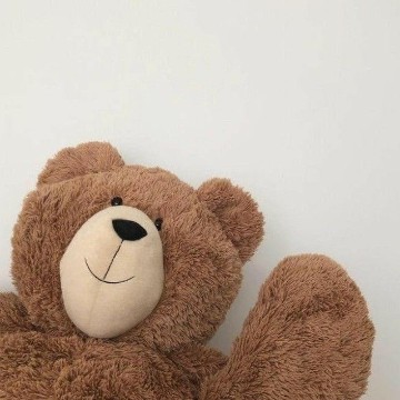 aesthetic brown bear