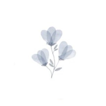 blue flower