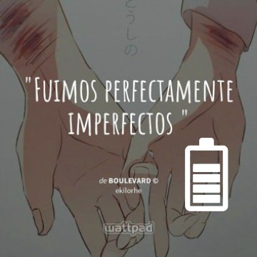Perfectamente imperfectos