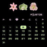 Pink and green calender 