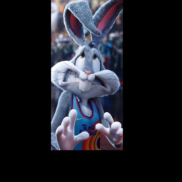 BUNNY
