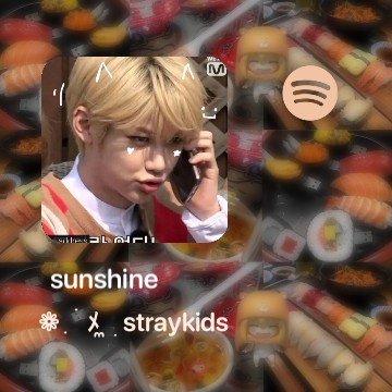 widget spotify 