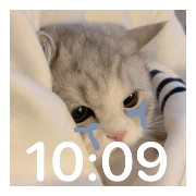 Cats cry