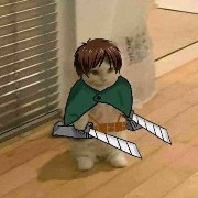 eren catt