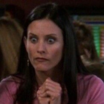 Monica Geller 