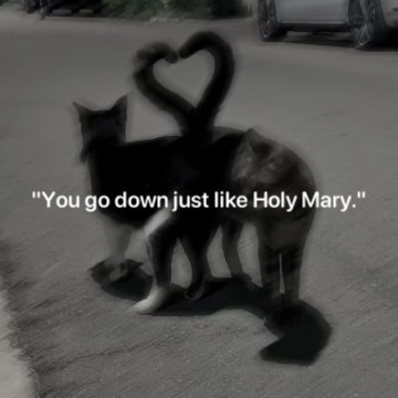 "You go down just like Holy Mary."