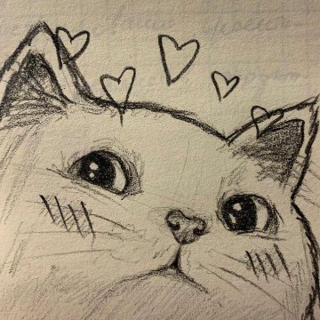 hearty cat